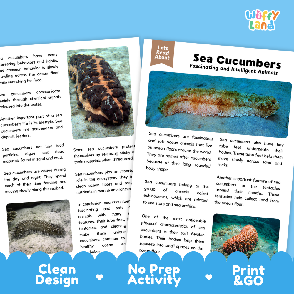 Sea Cucumber Reading Passage and Comprehension Questions Worksheets