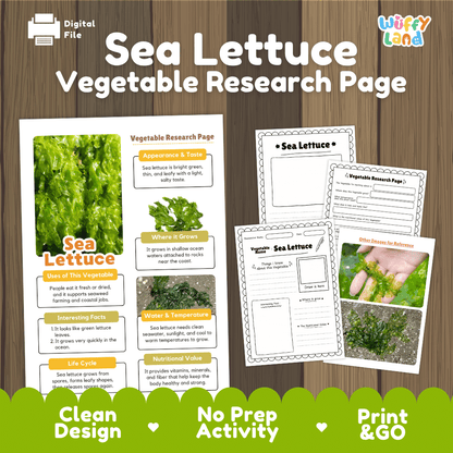 Sea Lettuce Vegetable Research Page Worksheets and Fact Sheet
