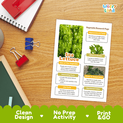 Sea Lettuce Vegetable Research Page Worksheets and Fact Sheet