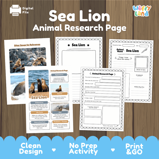 Clean design no prep print and go sea lion marine mammal pinniped ocean animal life cycle study printable PDF pack for elementary science