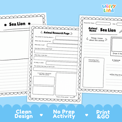 Sea Lion Animal Research Page Worksheets