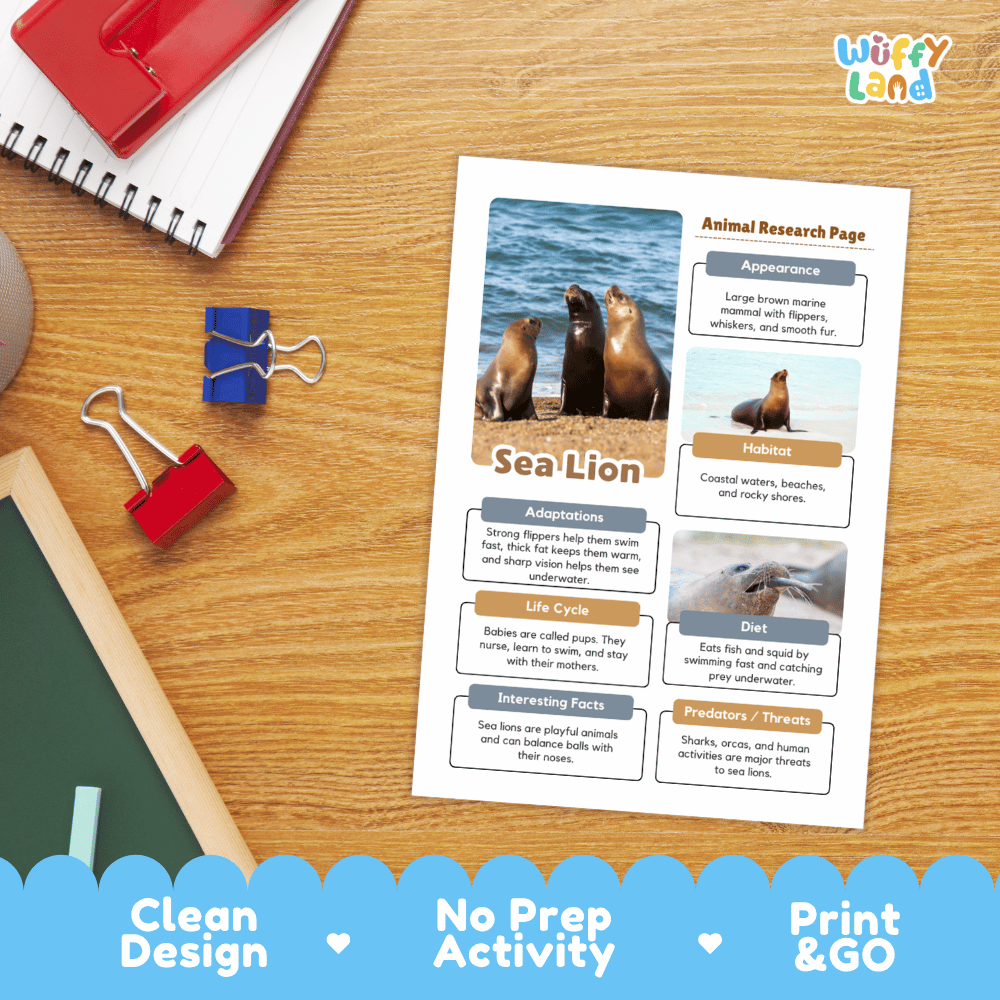 Sea Lion Animal Research Page Worksheets