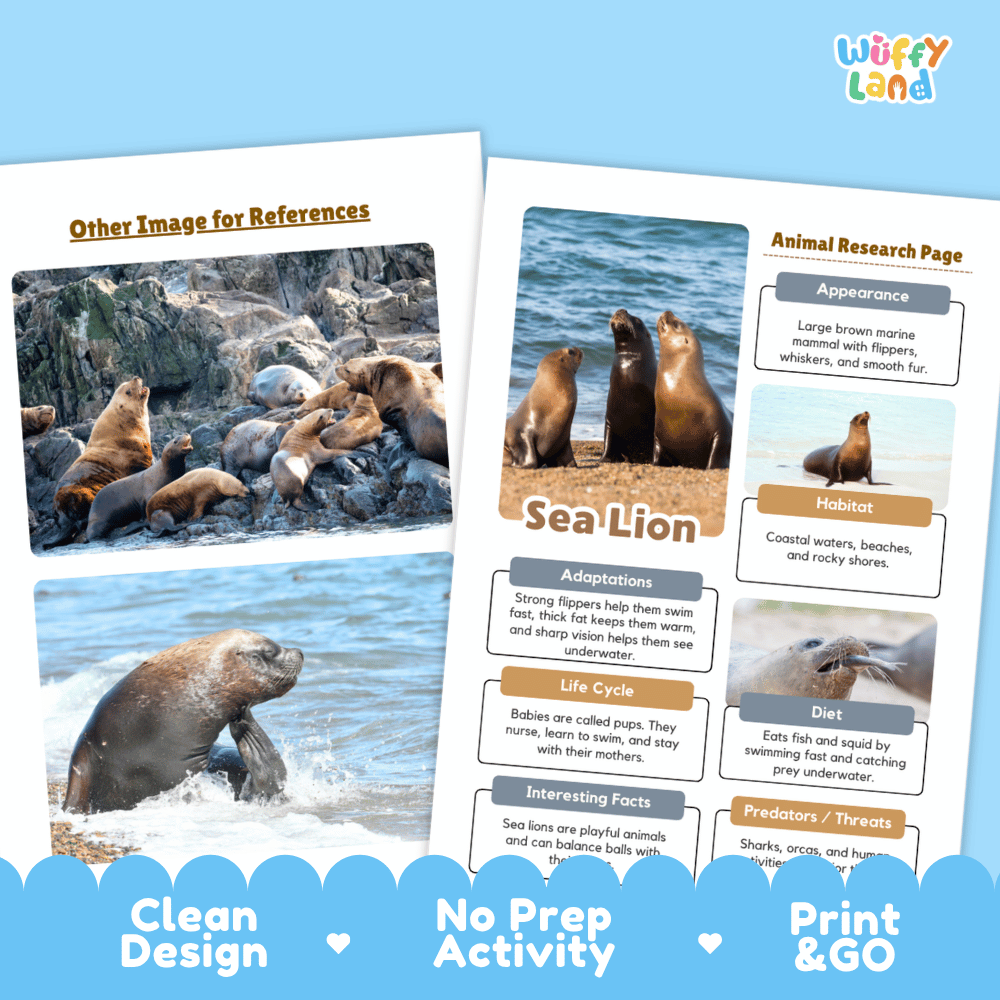 Sea Lion Animal Research Page Worksheets