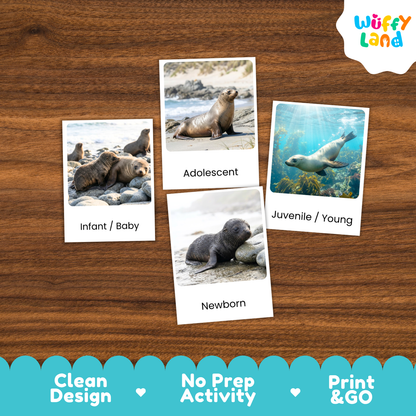 Four printed activity cards showing sea lion photos with labels 'Infant / Baby', 'Adolescent', 'Juvenile / Young', and 'Newborn' arranged on a wood surface. A 'Wuffy Land' logo appears in the top right, and a blue banner at the bottom reads 'Clean Design', 'No Prep Activity', and 'Print & GO'.