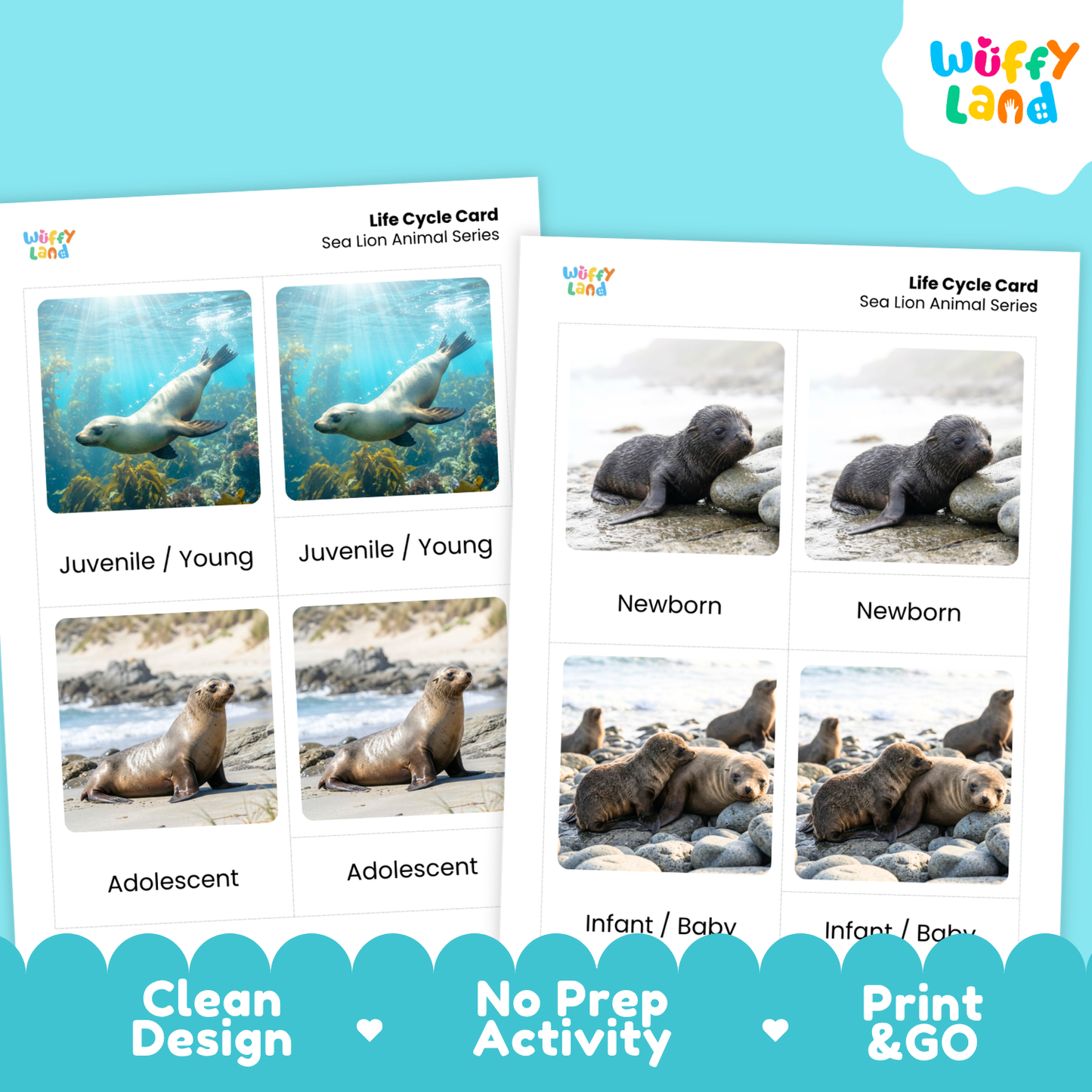 Two printable sea lion life cycle cards shown on a bright blue background. The cards feature labeled photos of sea lions at juvenile, young, newborn, adolescent, infant, and baby stages.