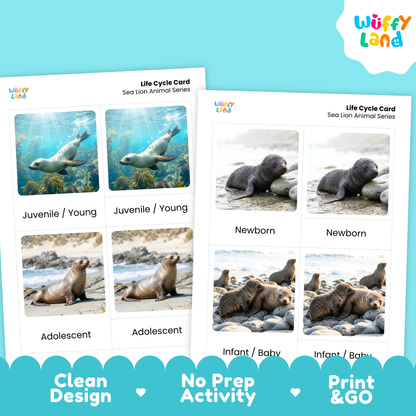Two printable sea lion life cycle cards shown on a bright blue background. The cards feature labeled photos of sea lions at juvenile, young, newborn, adolescent, infant, and baby stages.