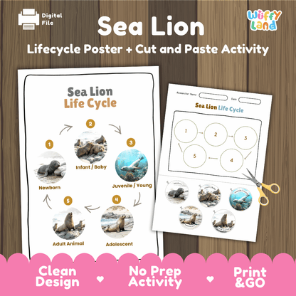 Sea Lion Life Cycle Poster and Cut and Paste Worksheet Activity