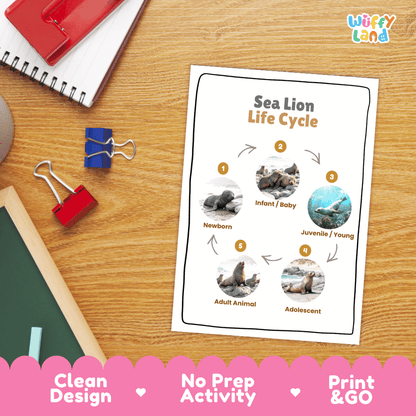Sea Lion Life Cycle Poster and Cut and Paste Worksheet Activity