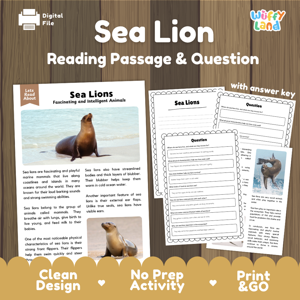 Sea Lion Reading Passage and Comprehension Questions with Answer Key Worksheets