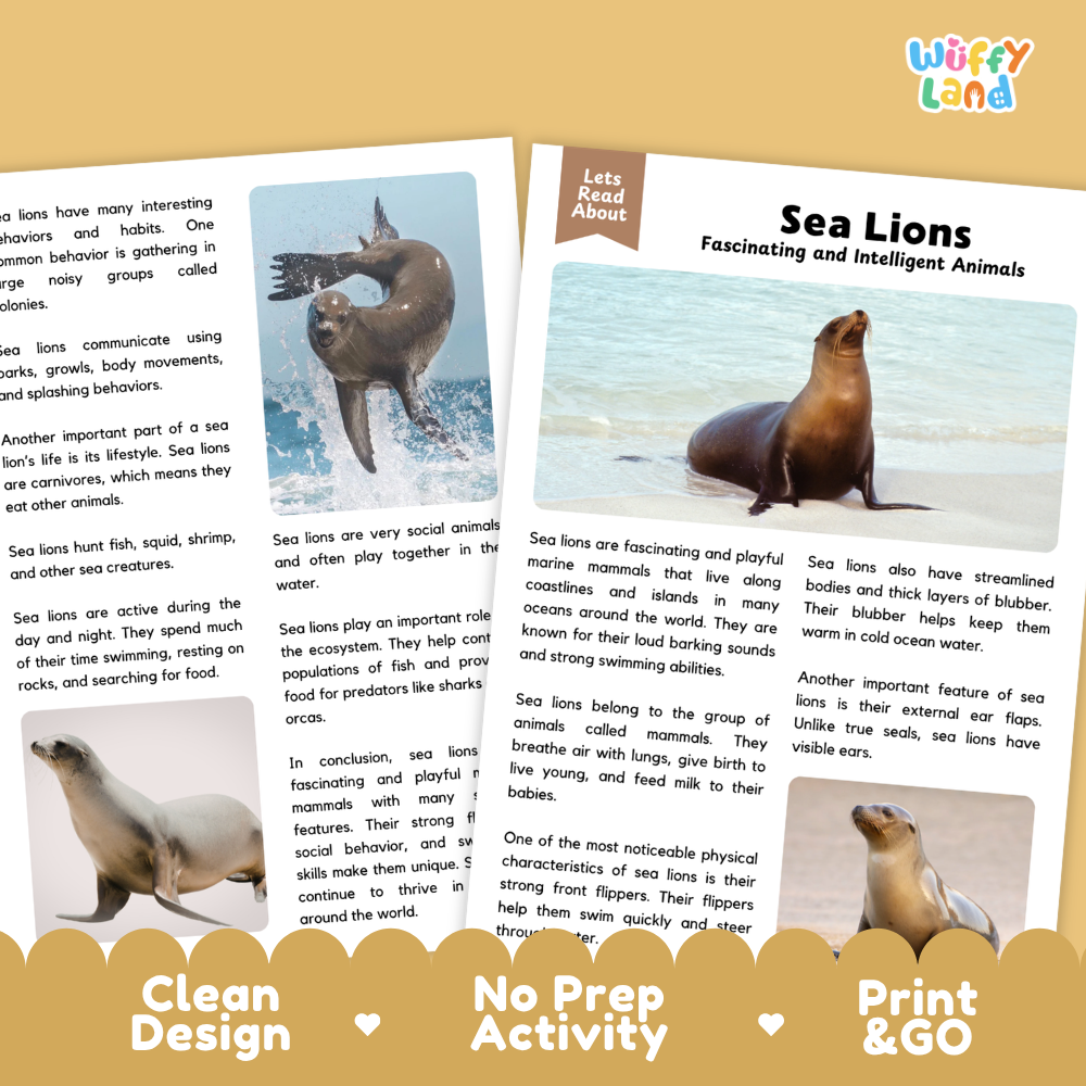 An educational reading activity booklet titled 'Sea Lions Fascinating and Intelligent Animals' by Wiffly Land. The booklet features a colorful cover with a photo of a sea lion and text blocks, shown against a light gray background with promotional text at the bottom.