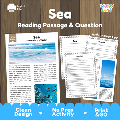Digital reading passage and worksheet set about 'Sea: A Wide World of Water' from the brand Wiffly Land, shown on a wood background with printed sample pages and promotional text.