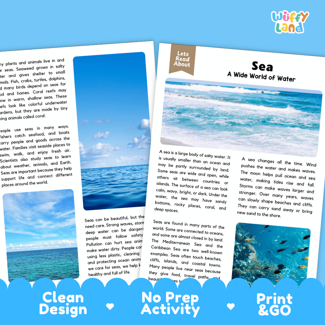 Two printed educational activity cards about the sea, shown on a white background with a 'Wuffly Land' logo in the top right. The cards are blue with black text and include printed illustrations of sea creatures and waves.