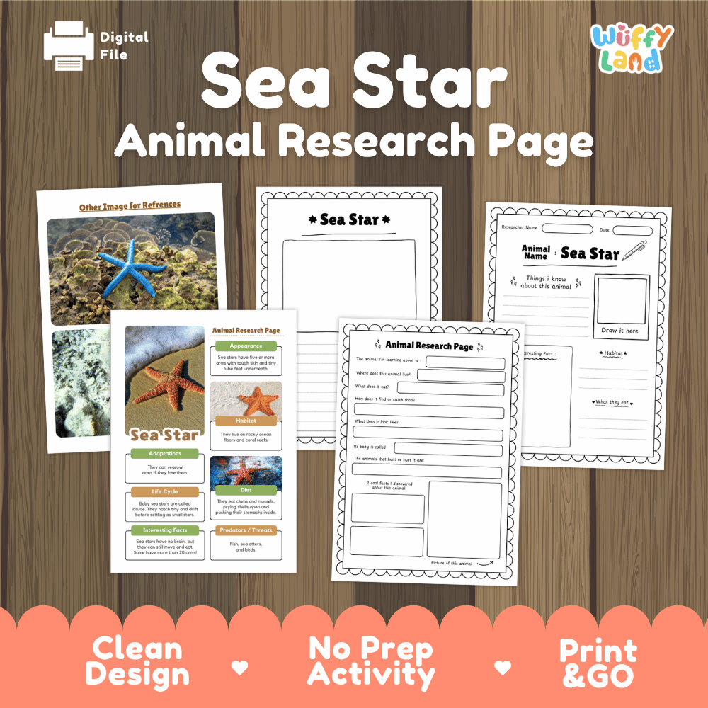 Digital worksheet template for a Sea Star Animal Research Page, shown as a collage on a wood background with promotional text and a 'Wiffly Land' logo.
