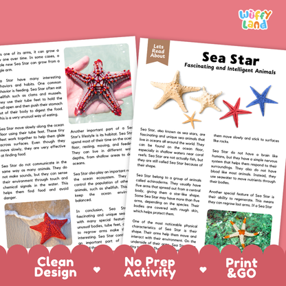 Sea Star Reading Passage and Comprehension Questions Worksheets