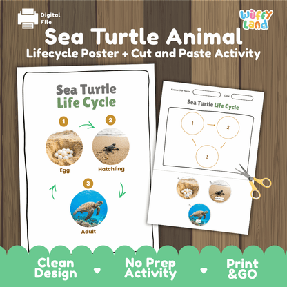 Sea Turtle Animal Life Cycle Poster and Cut and Paste Worksheet Activity