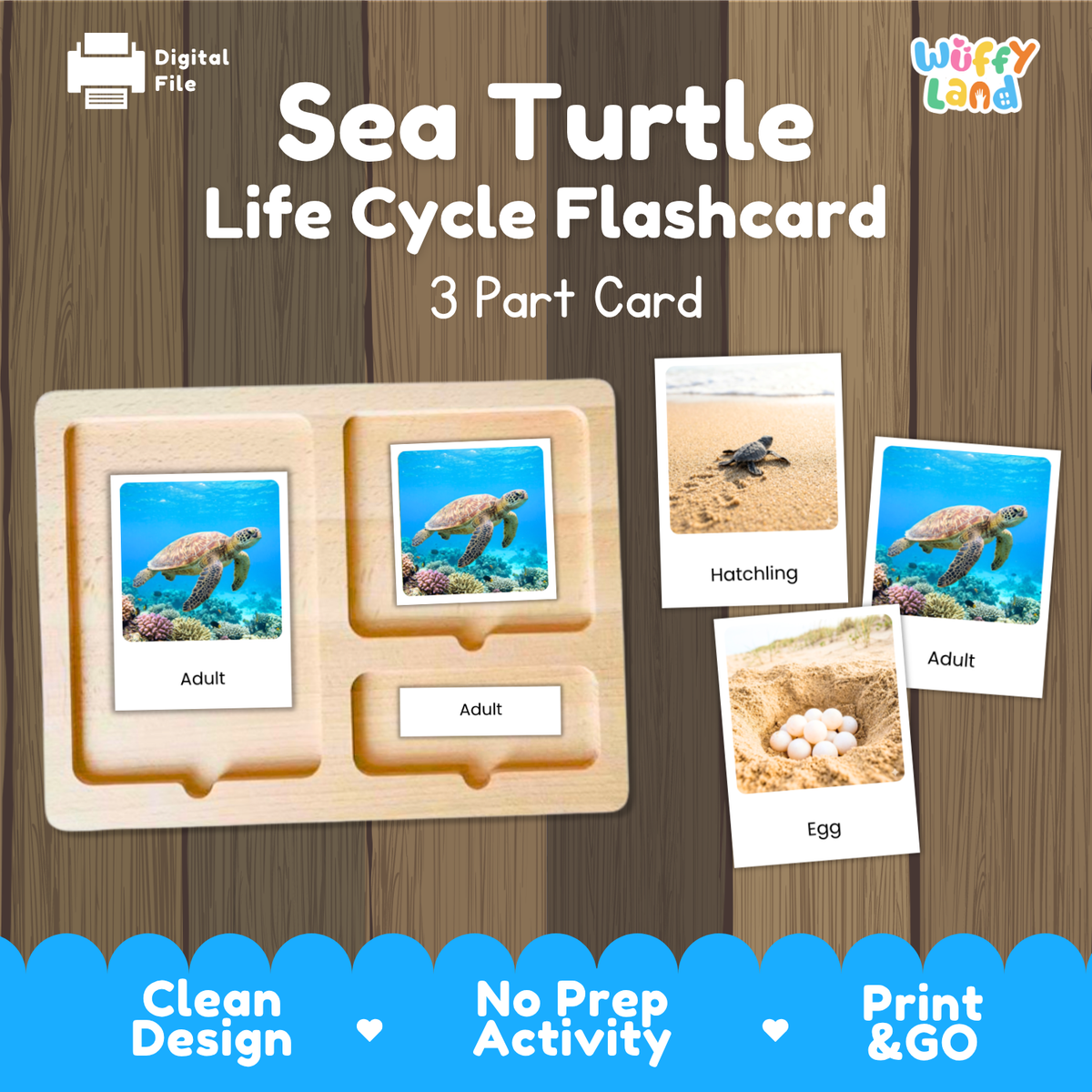 Sea Turtle Life Cycle Flashcards 3 Part Cards Montessori Science Activity