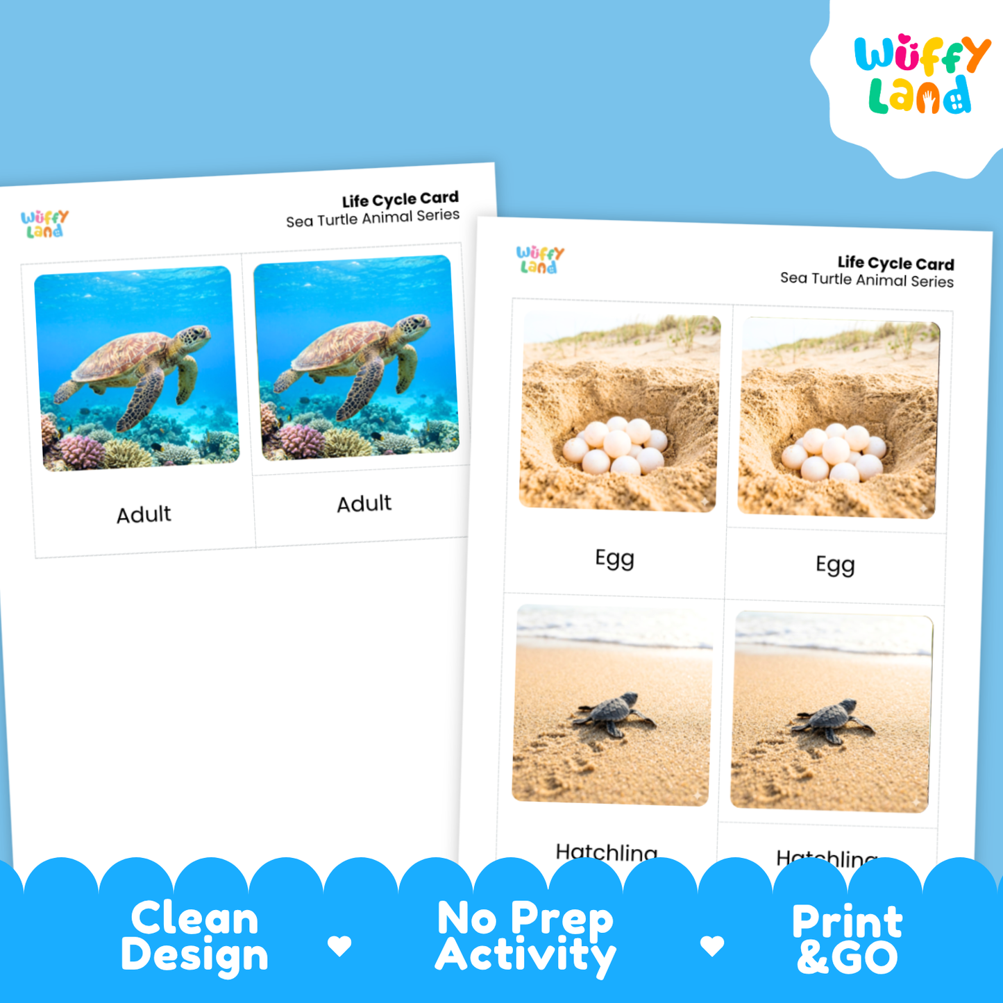 Sea Turtle Life Cycle Flashcards 3 Part Cards Montessori Science Activity