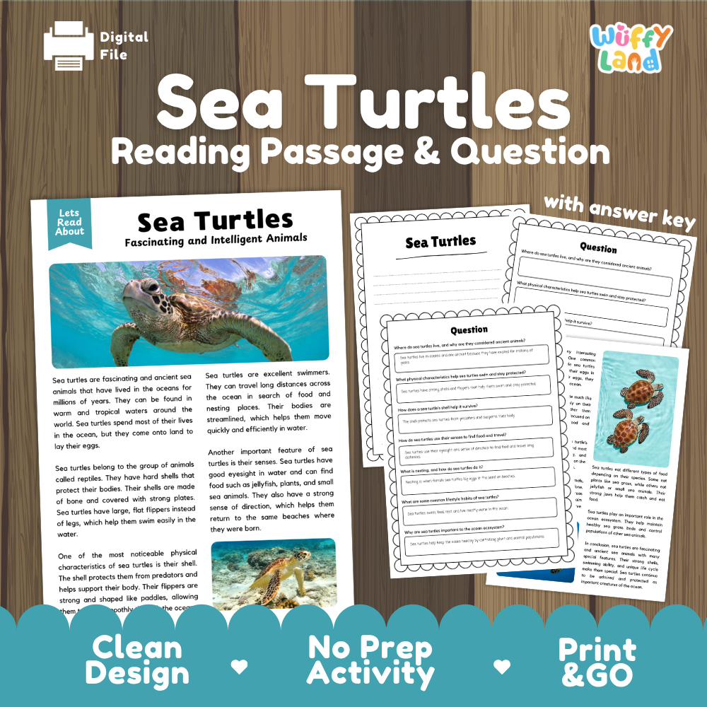 Sea Turtles Reading Passage and Comprehension Questions Worksheets