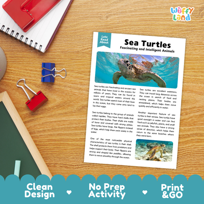 Sea Turtles Reading Passage and Comprehension Questions Worksheets