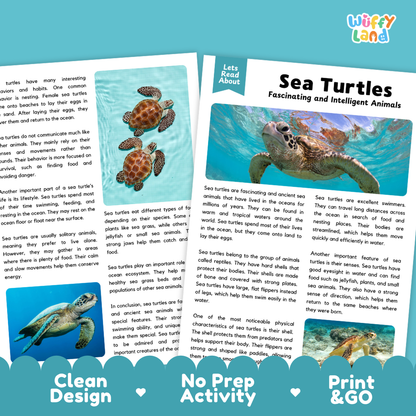 Sea Turtles Reading Passage and Comprehension Questions Worksheets