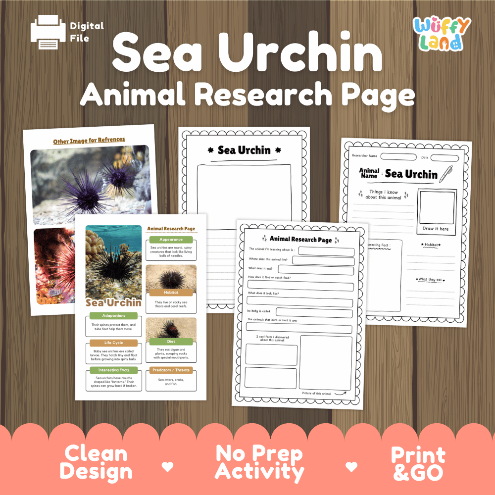 Sea Urchin Animal Research Project Worksheets and Fact Sheet Activity