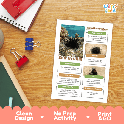 A printed sea urchin animal research activity sheet laid on a wooden desk, surrounded by school supplies including a spiral notebook, binder clips, and a chalkboard. The sheet has colorful text sections, sea urchin photos, and headings like 'Animal Research Page' and 'Sea Urchin'.