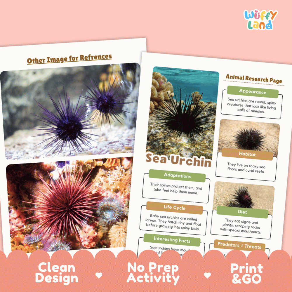 Two educational activity sheets about sea urchins displayed on a peach background. The sheets include colorful sea urchin photographs, labeled sections for appearance, habitat, adaptations, life cycle, diet, and interesting facts, with a 'Wuffy Land' brand logo in the top right.