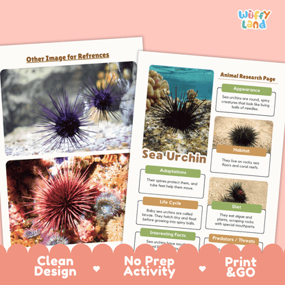 Two educational activity sheets about sea urchins displayed on a peach background. The sheets include colorful sea urchin photographs, labeled sections for appearance, habitat, adaptations, life cycle, diet, and interesting facts, with a 'Wuffy Land' brand logo in the top right.