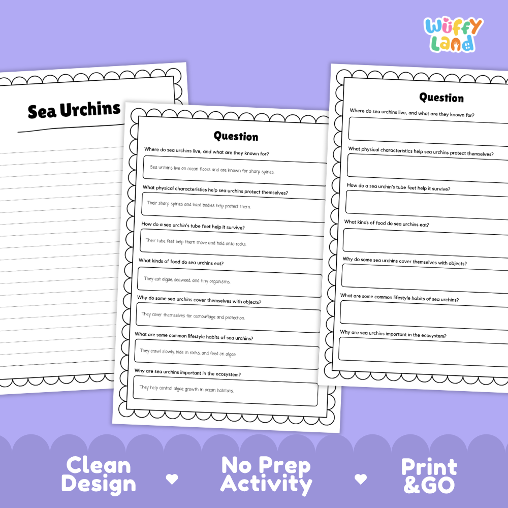 Three printable worksheet pages about sea urchins on a lavender background, with the title 'Sea Urchins' on the left sheet and activity question prompts on the center and right sheets. The brand name 'Wiffly Land' appears in the top right corner.