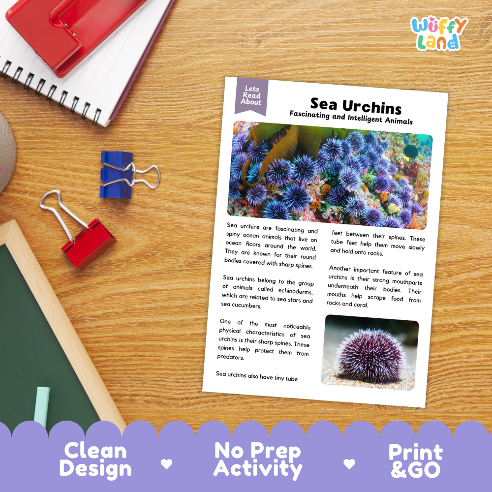A children's educational activity sheet about sea urchins laid on a wooden desk, surrounded by a spiral notebook, red binder clips, and a colorful banner at the bottom that reads 'Clean Design', 'No Prep Activity', and 'Print & GO'. The sheet has the title 'Sea Urchins' and includes colorful animal photos and text.