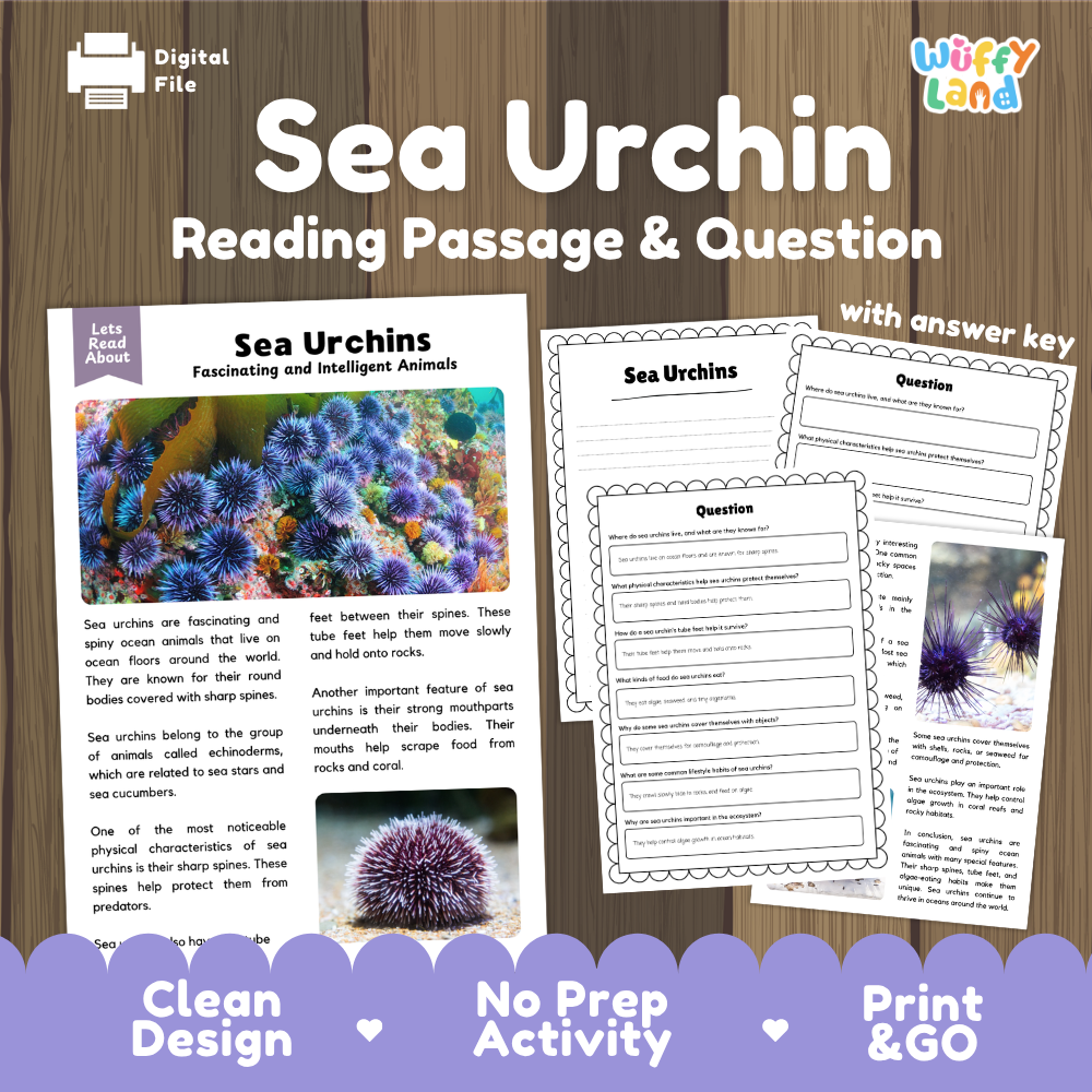 Sea Urchin Reading Passage and Comprehension Questions Worksheets