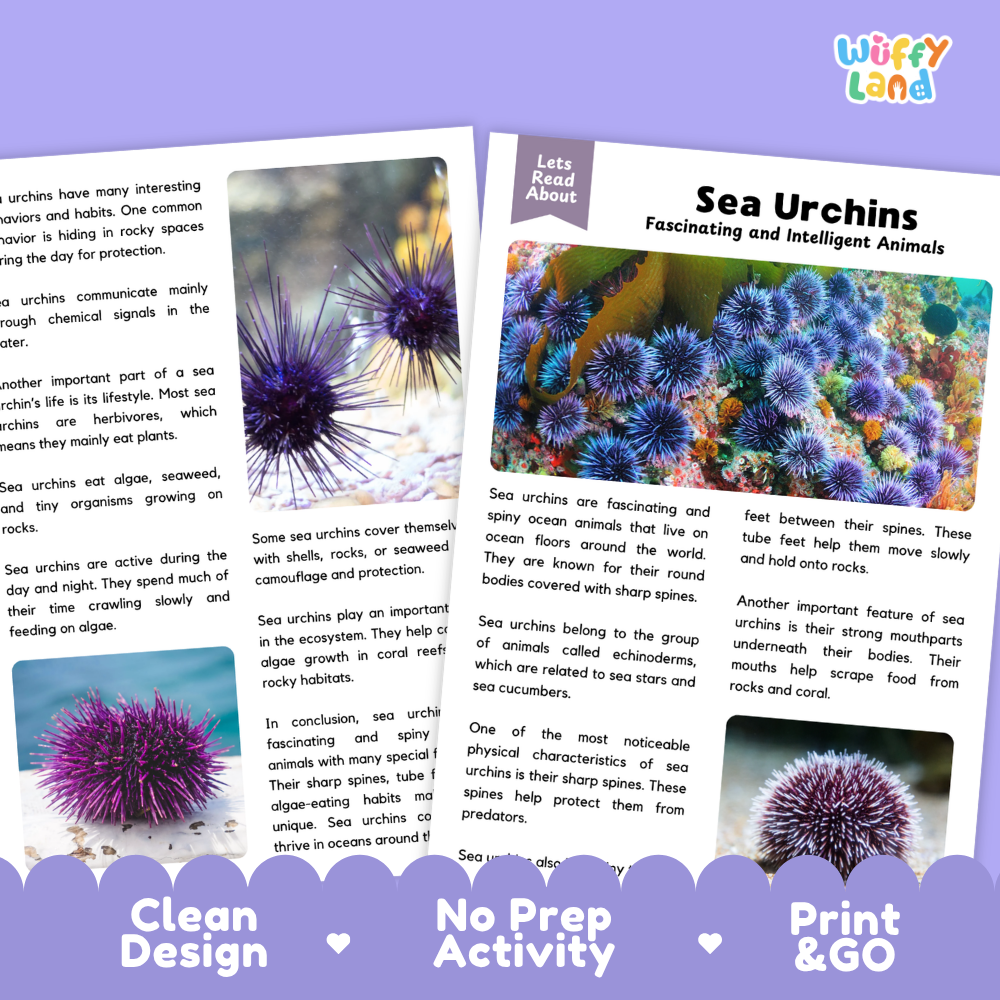 Two educational reading activity cards about sea urchins, shown on a light gray background with decorative blue and purple banner elements at the bottom. The left card shows a small photo of a sea urchin, and the right card has the title 'Sea Urchins' with text and a larger sea urchin illustration.