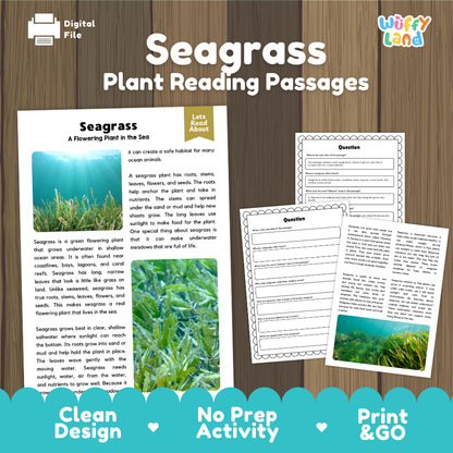 Seagrass Plant Reading Passages Worksheets and Comprehension Activity