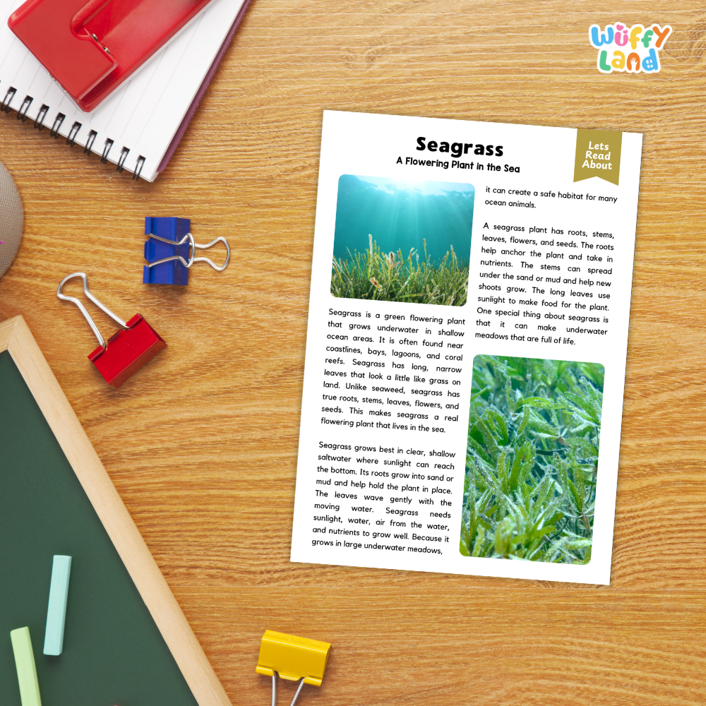 Seagrass Plant Reading Passages Worksheets and Comprehension Activity