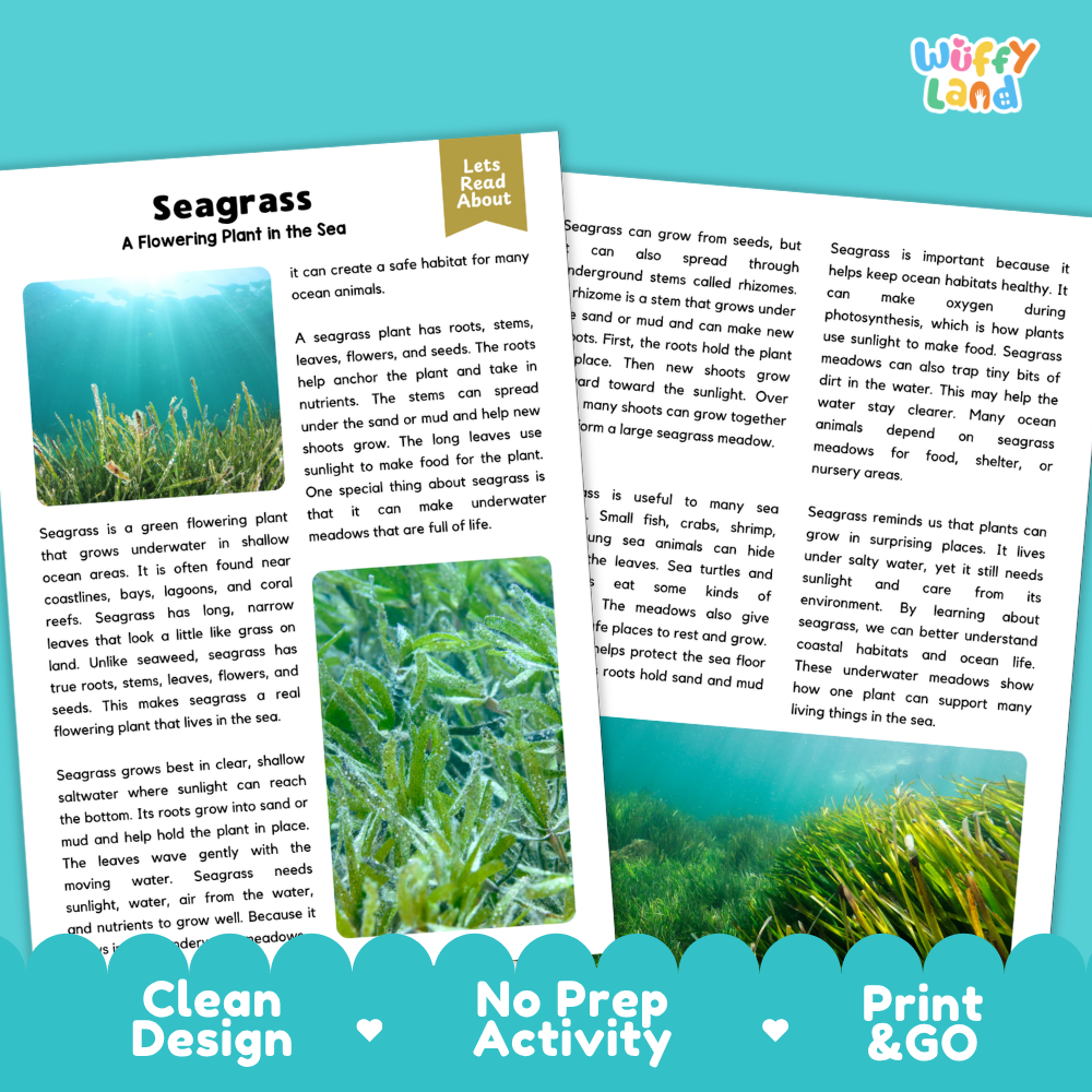 Seagrass Plant Reading Passages Worksheets and Comprehension Activity