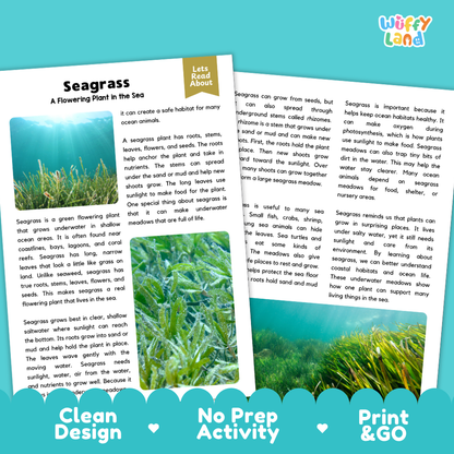 Seagrass Plant Reading Passages Worksheets and Comprehension Activity