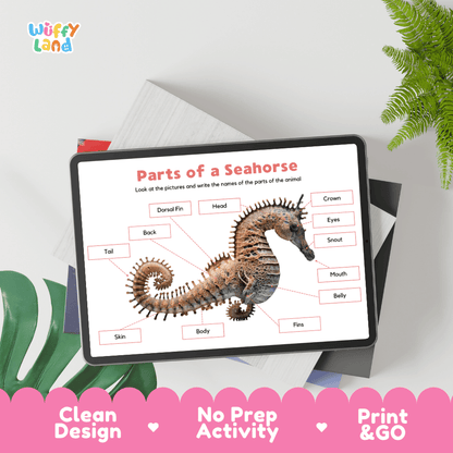 Educational cut and paste seahorse anatomy worksheet with printable word cutout tiles for crown, snout, dorsal fin, skin, and tail