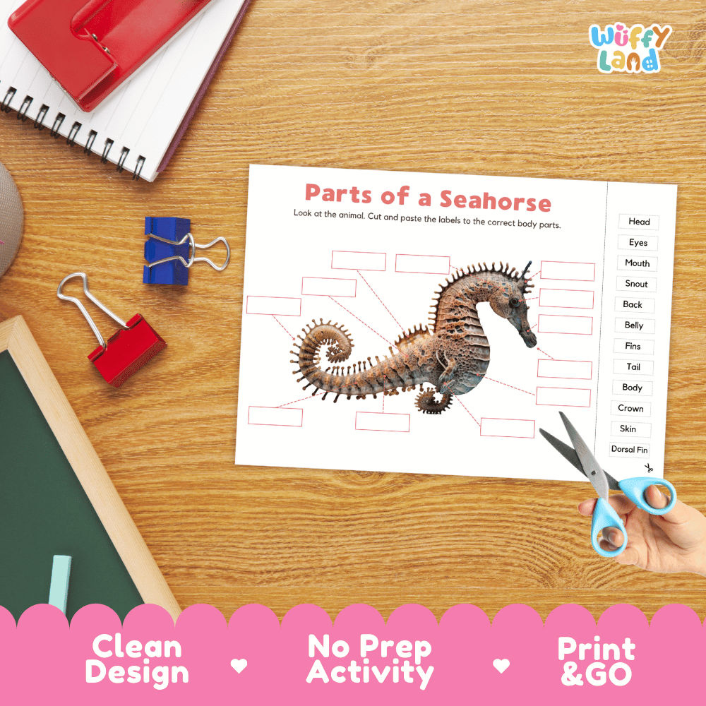 Printable marine anatomy worksheet showing a realistic seahorse with blank labeling boxes and a vocabulary word bank for writing practice