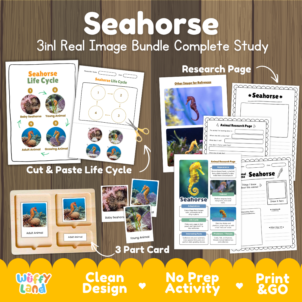Seahorse 3-in-1 real image bundle complete study cover showing cut and paste life cycle, 3 part cards, and research pages