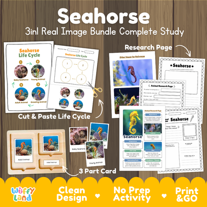 Seahorse 3-in-1 real image bundle complete study cover showing cut and paste life cycle, 3 part cards, and research pages