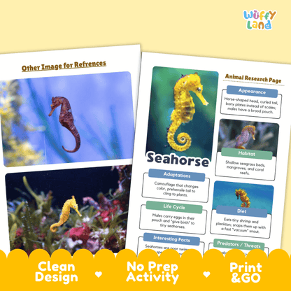 Two printed educational poster pages about seahorses shown on a pale yellow background with a decorative orange banner at the bottom. The pages include photos of seahorses, labeled sections such as Appearance, Habitat, Adaptations, Life Cycle, and Diet, and the brand name Wiffly Land appears in the top right.