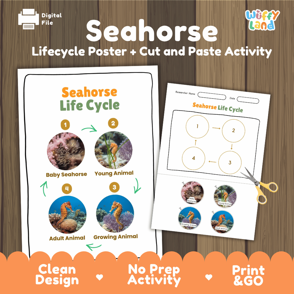 Seahorse Life Cycle Poster and Cut and Paste Activity Worksheets