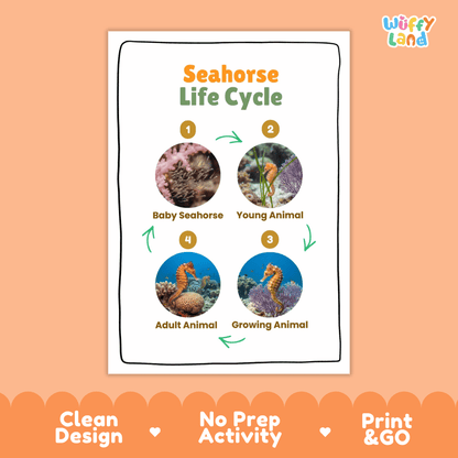 Seahorse Life Cycle Poster and Cut and Paste Activity Worksheets