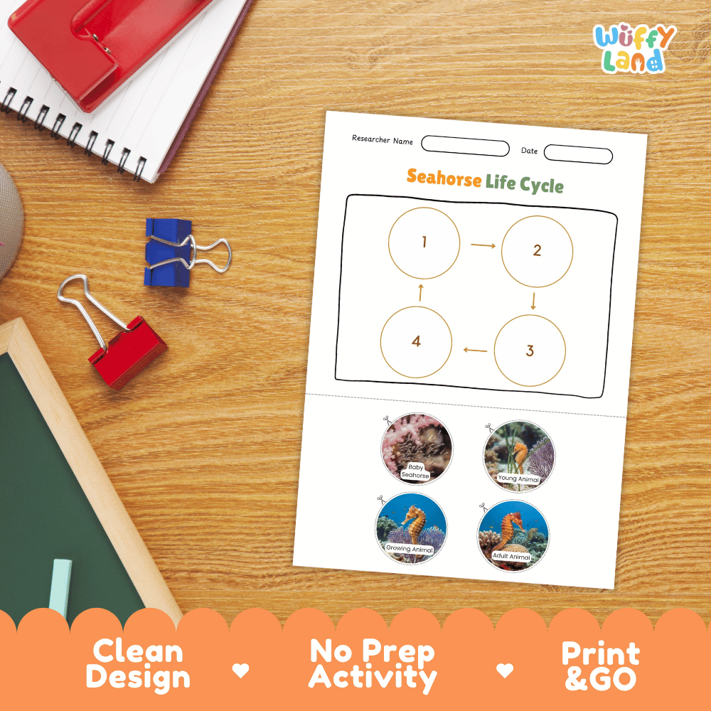 Seahorse Life Cycle Poster and Cut and Paste Activity Worksheets