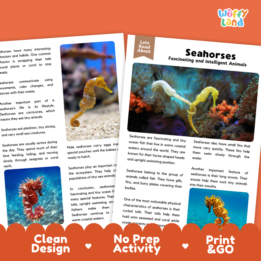 Educational reading activity cards about seahorses from the brand 'Wiffly Land', featuring a colorful cover page and two sample activity cards with text and illustrations, set against a white background with orange decorative banners.