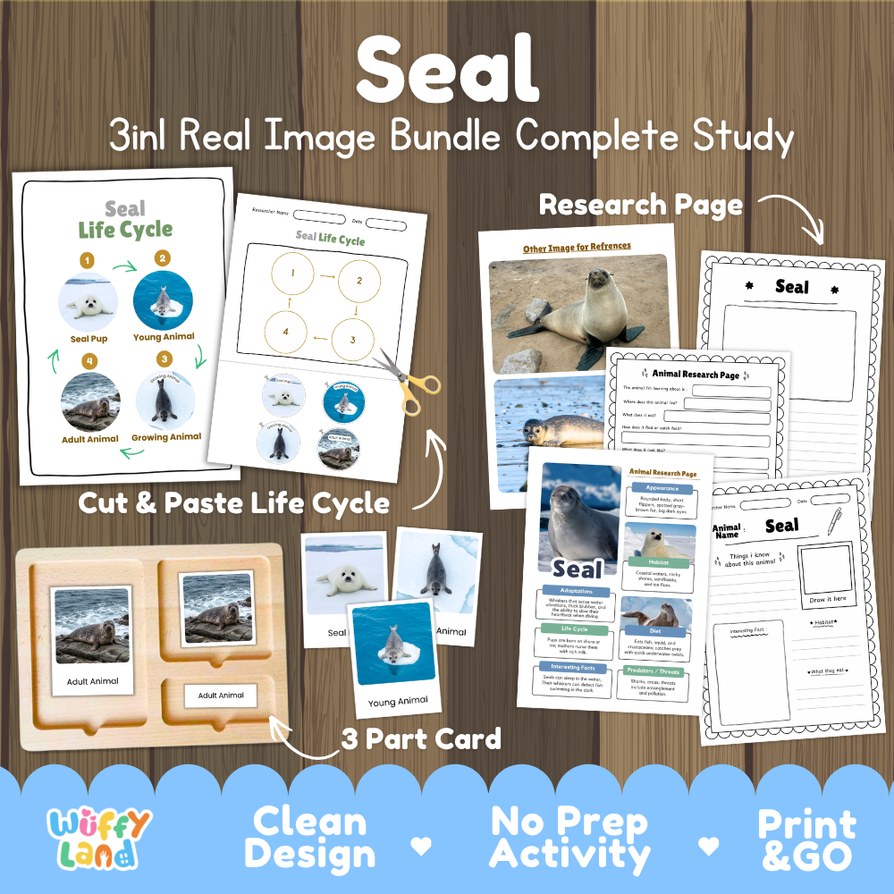 Seal 3-in-1 real image bundle complete study cover showing cut and paste life cycle, 3 part cards, and research pages
