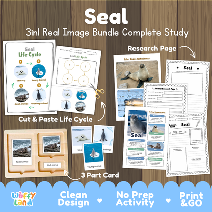 Seal 3-in-1 real image bundle complete study cover showing cut and paste life cycle, 3 part cards, and research pages