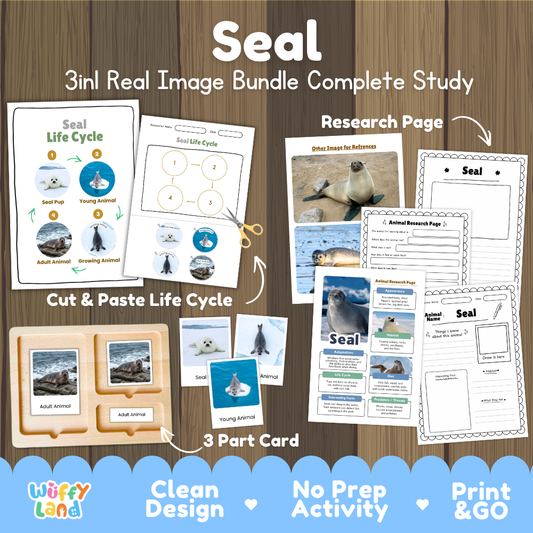 Seal 3-in-1 real image bundle complete study cover showing cut and paste life cycle, 3 part cards, and research pages