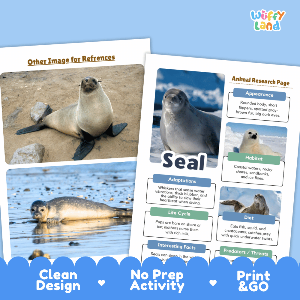 Two printed educational poster pages about seals displayed on a light blue background, with a blue decorative banner at the bottom reading 'Clean Design', 'No Prep Activity', and 'Print & GO'. The posters show photos of seals and text sections including appearance, habitat, adaptations, life cycle, diet, and predators.