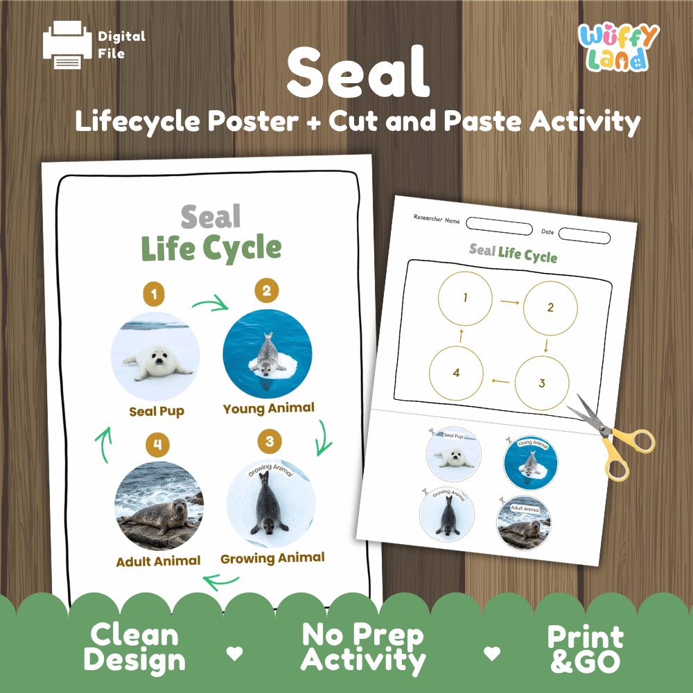 Seal Life Cycle Poster and Cut and Paste Activity Worksheets